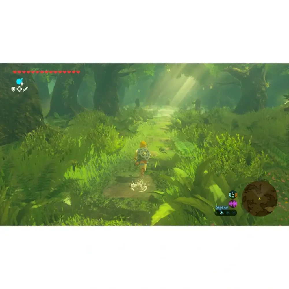 the legend of zelda breath of wild switch 2 27261